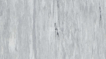 Линолеум Classic Imperial 2mm 0002 PLATINUM фото 1 | FLOORDEALER